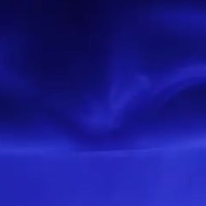 Meet your Posher, Dashanique